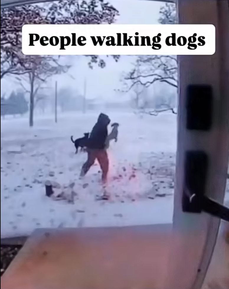 Hovorili, kúp si psa...